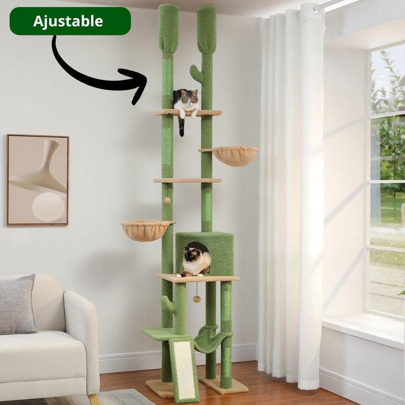 Arbre à chat ajustable sol-plafond