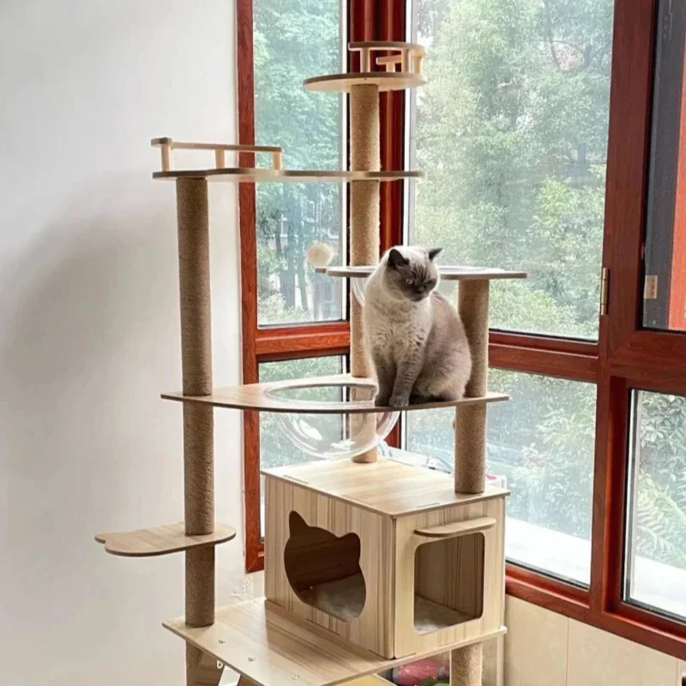 Arbre à chat en bois naturel