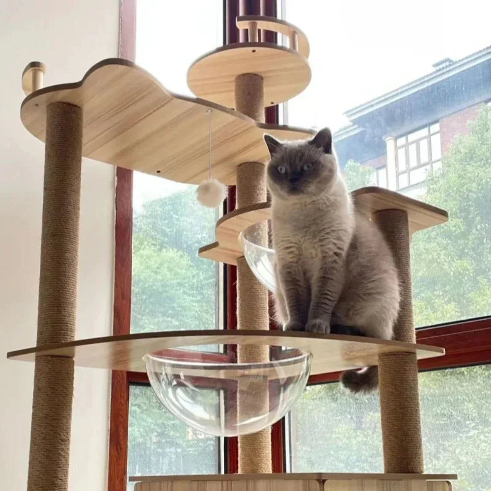 Arbre à chat en bois naturel